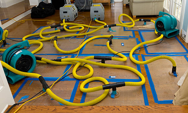 Professional Water Extraction technician working in Oradell, NJ